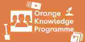 Netherlands Fellowship Programmes (NFP)